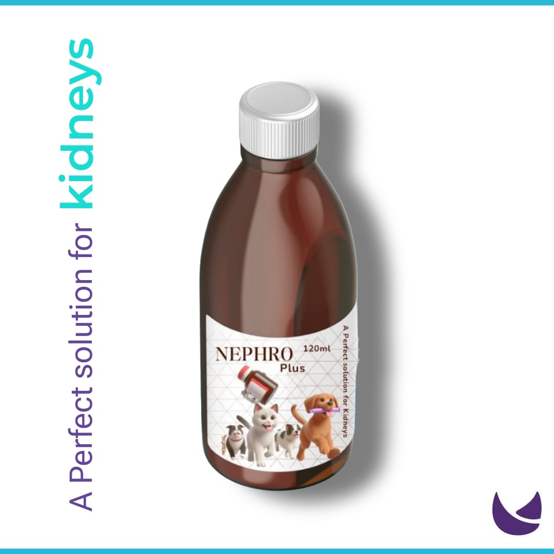 Nephro Plus | Supplement for Kidneys