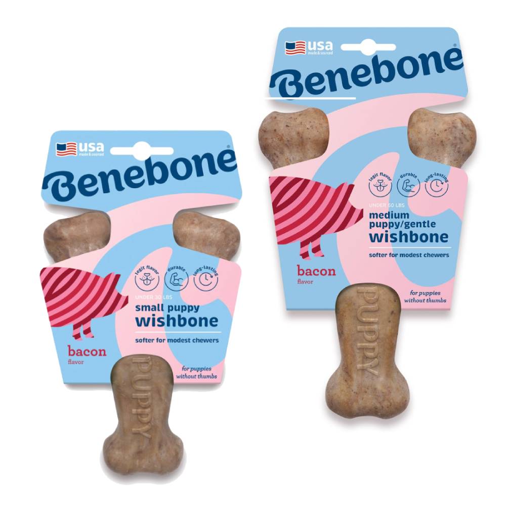 Benebone - Puppy Wishbone Dog Chew Toy – Bacon