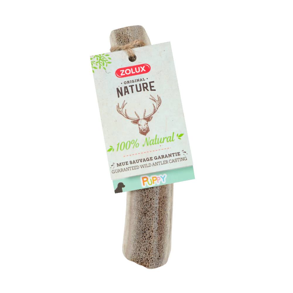 Zolux Natural Deer Antler Puppy Chew – 100% Natural Treat for Puppies from 3 Months+