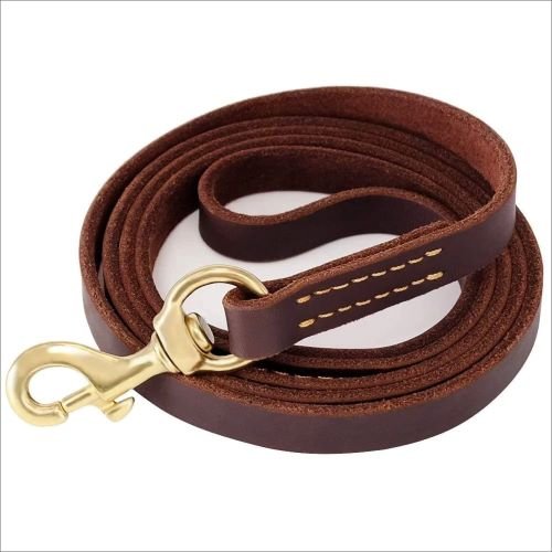 Leather Dog Show Leash (9 feet)