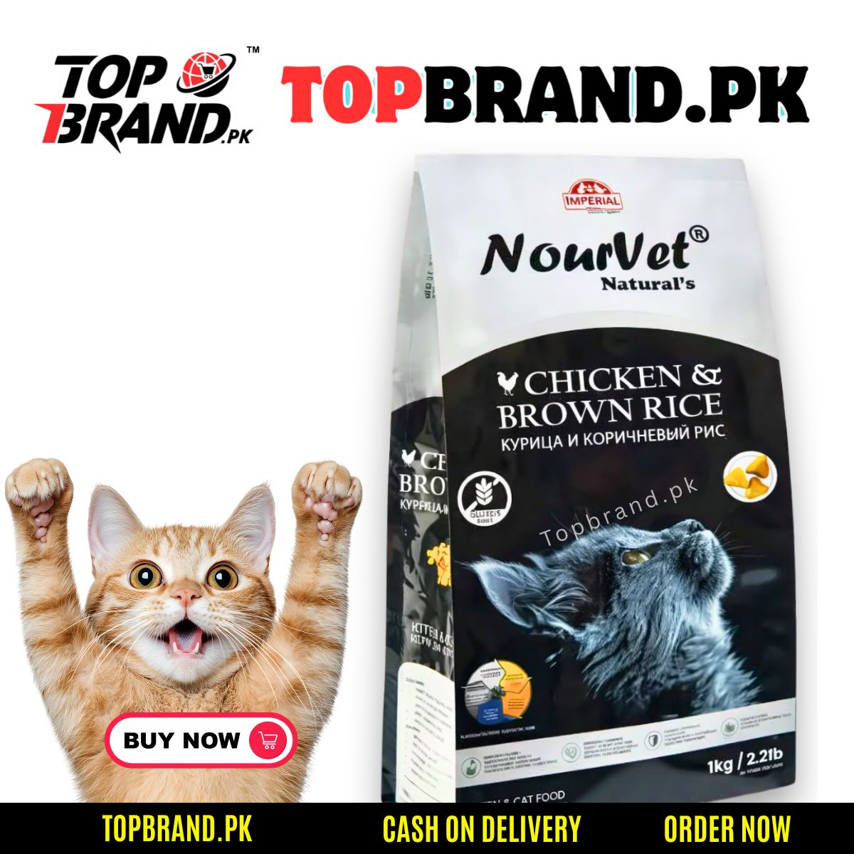 Nourvet Natural Chicken & Brown Rice Recipe – Complete Kitten & Cat Food