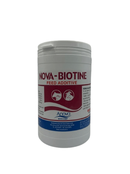 NOVA-BIOTINE 1 kg