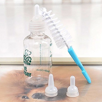 Kitten Feeding Bottle – Kitten Feeder