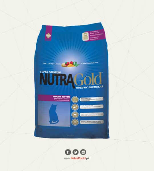 NutraGold Holistic Kitten – 1 KG
