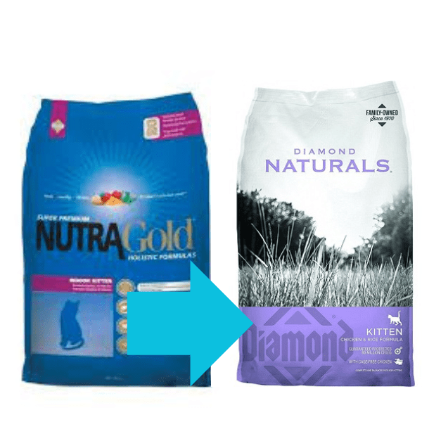 NutraGold Holistic Kitten – 1 KG