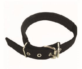 Nylon dog collar with soft padding