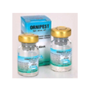 ORNIPEST lyoph. ad us. vet. (Poultry Vaccines)
