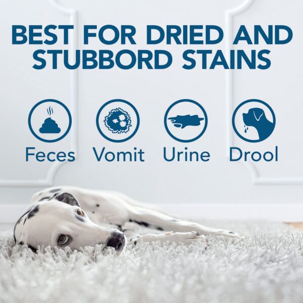 Simple Solution Oxy Charged Pet Stain and Odor Remover – 945ml