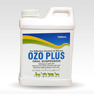 OZO PLUS