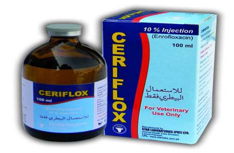 Ceriflox 10% 100 ml Injection