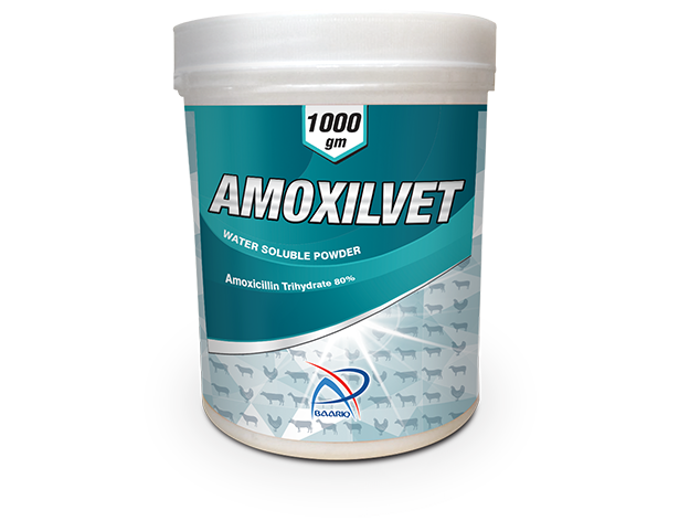 AMOXILVET