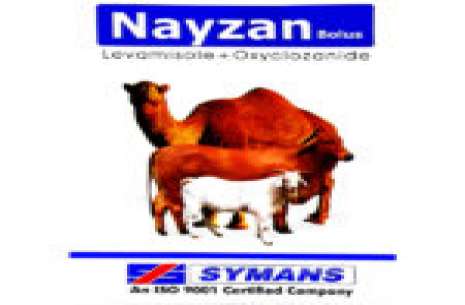 Nayzan Bolus