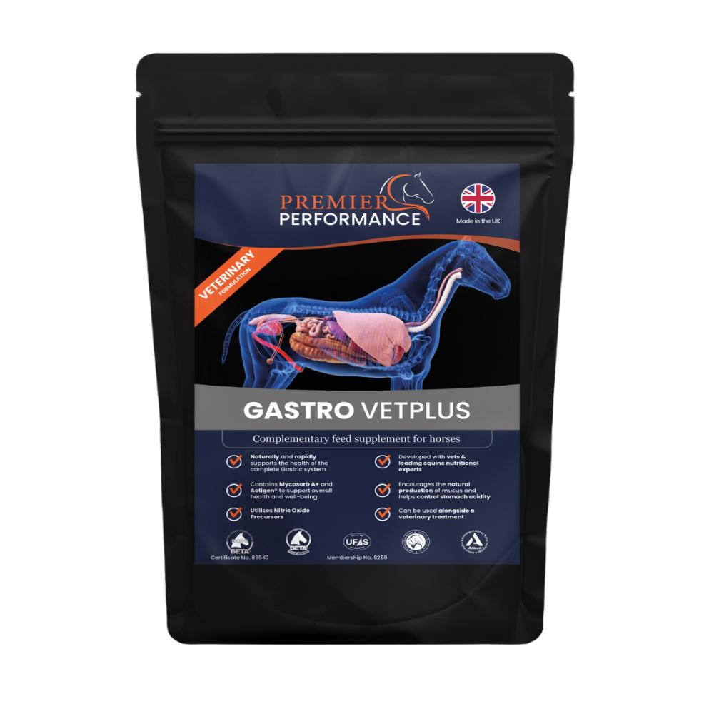GASTRO VETPLUS | PREMIER PERFORMANCE | AL ZARRAB