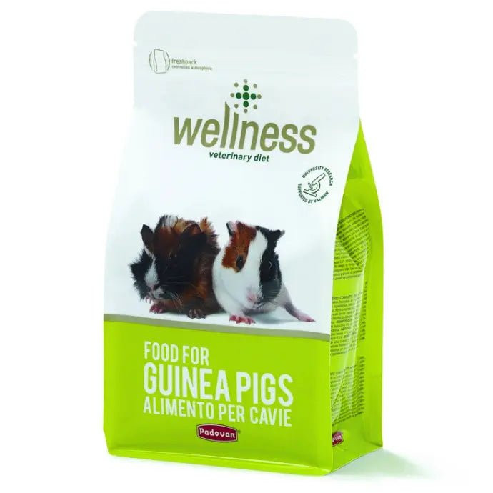 Padovan Wellness Guinea Pigs - 1kg