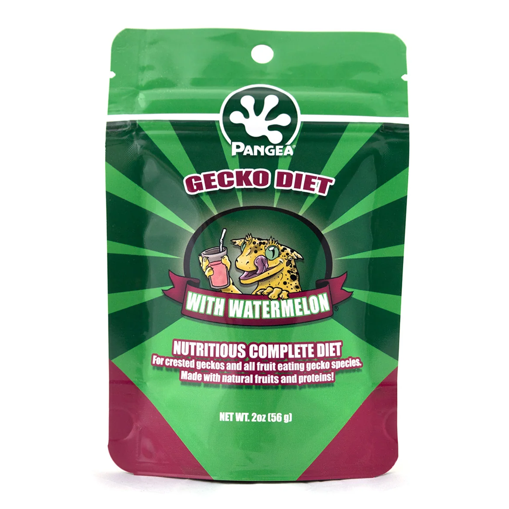 Pangea Gecko Diet with Watermelon