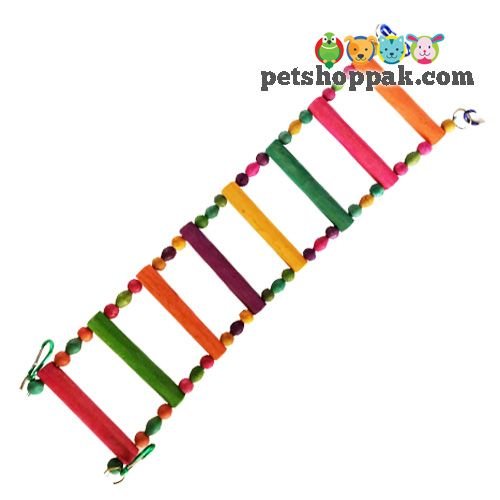 Parrot Toy Large Curve Ladder Swing