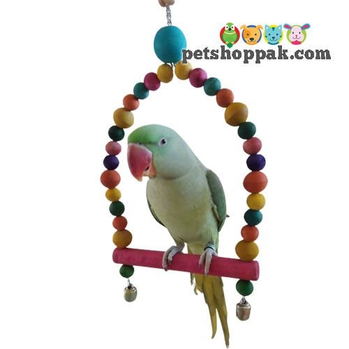 Parrot Toy D-Swing Large