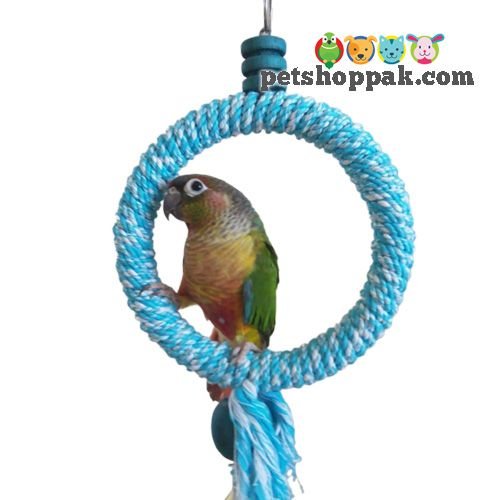 Parrot Toy Ring Swing Small