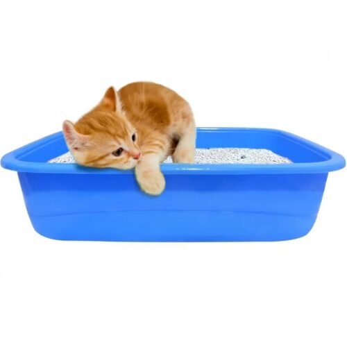 Pawcomfort Kitten Litter Tray