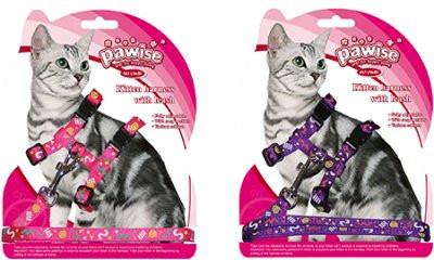 Pawise - Kitten Harness W/1.2 Leash pink/purpple