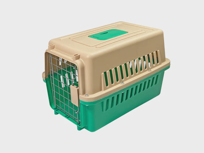 IATA approved Carrier - Medium - Green
