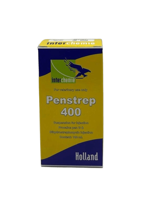 Penstrep 400 100ml