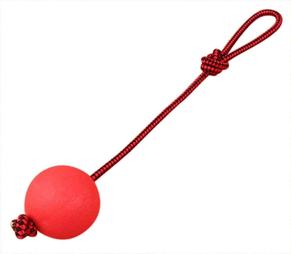 Ball With Rope Toy Pets