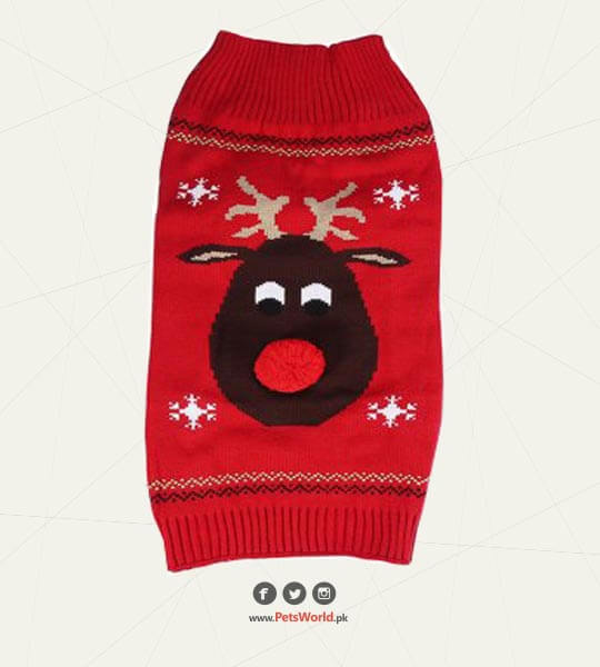 Pet Sweaters