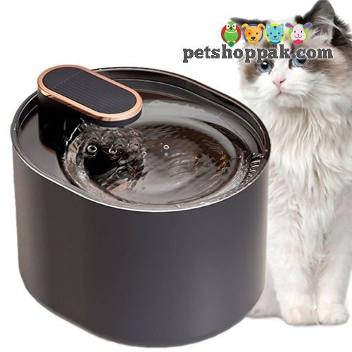 Pet Water Fountain Black