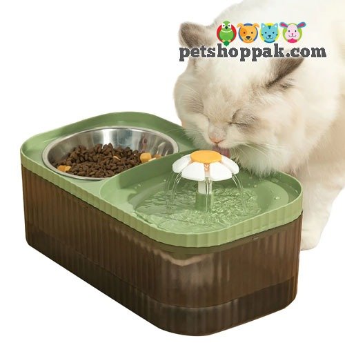 Pet Water Fountain with Food bowl