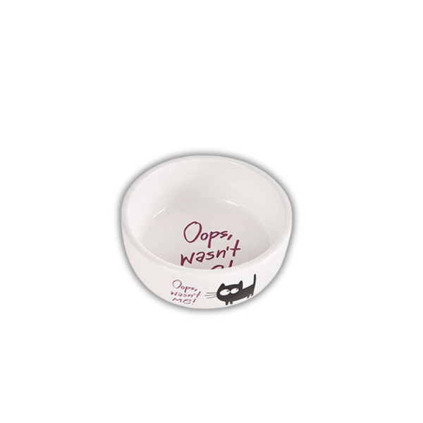 Pet Ceramic Food Bowl