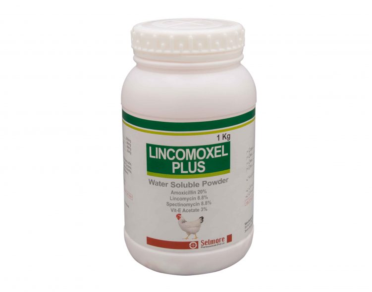 Lincomoxel Plus