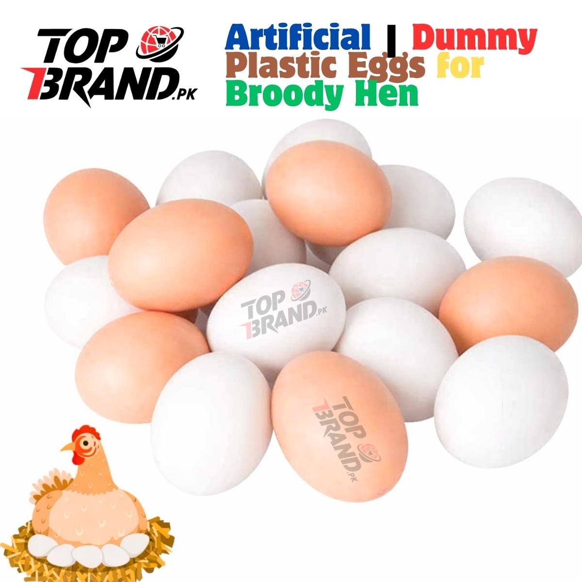 Artificial | Dummy Plastic Eggs for Broody Hen (Light Weight Egg Hollow from Inside)