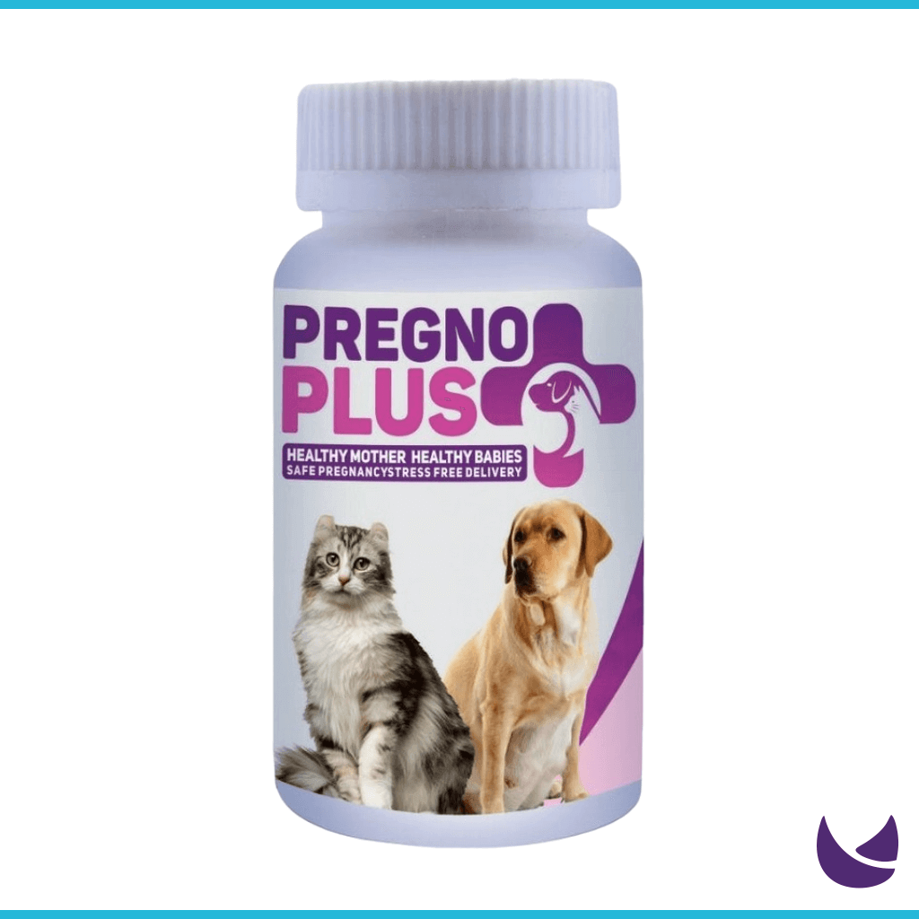 Pregno Plus for Pregnant Cats and Dogs