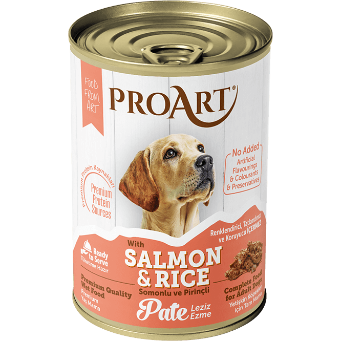 ProArt Salmon & Rice Pate