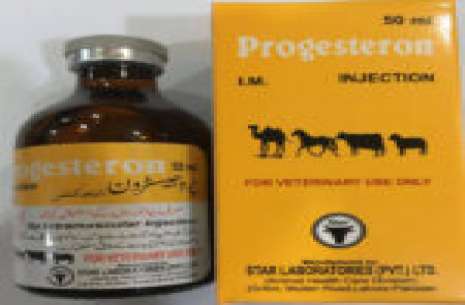 Progesterone 10 ml