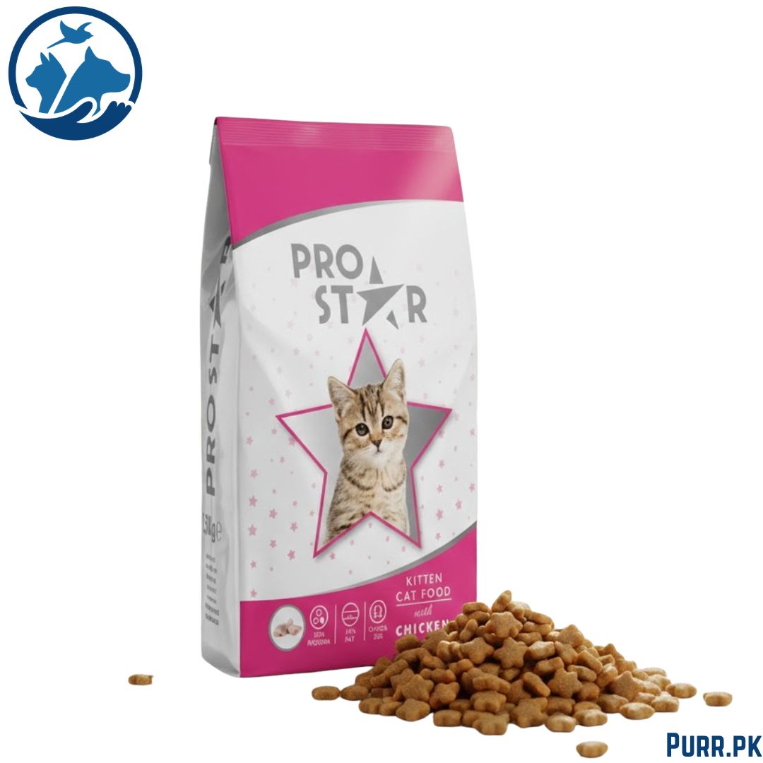 ProStar Kitten Food Chicken