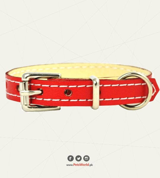 Puppy Collar