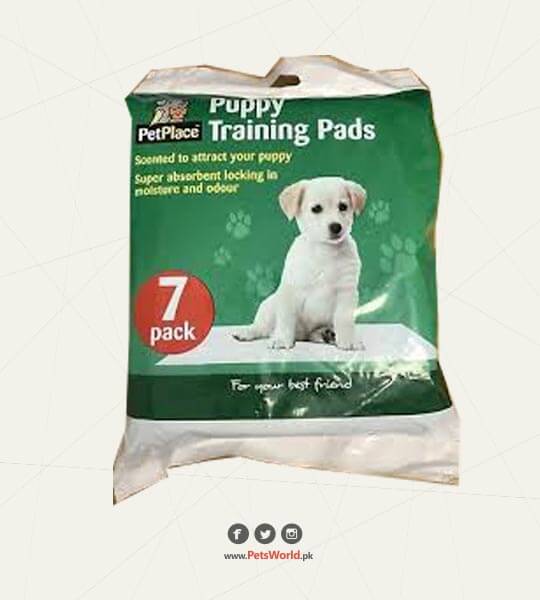 Puppy Training Pads