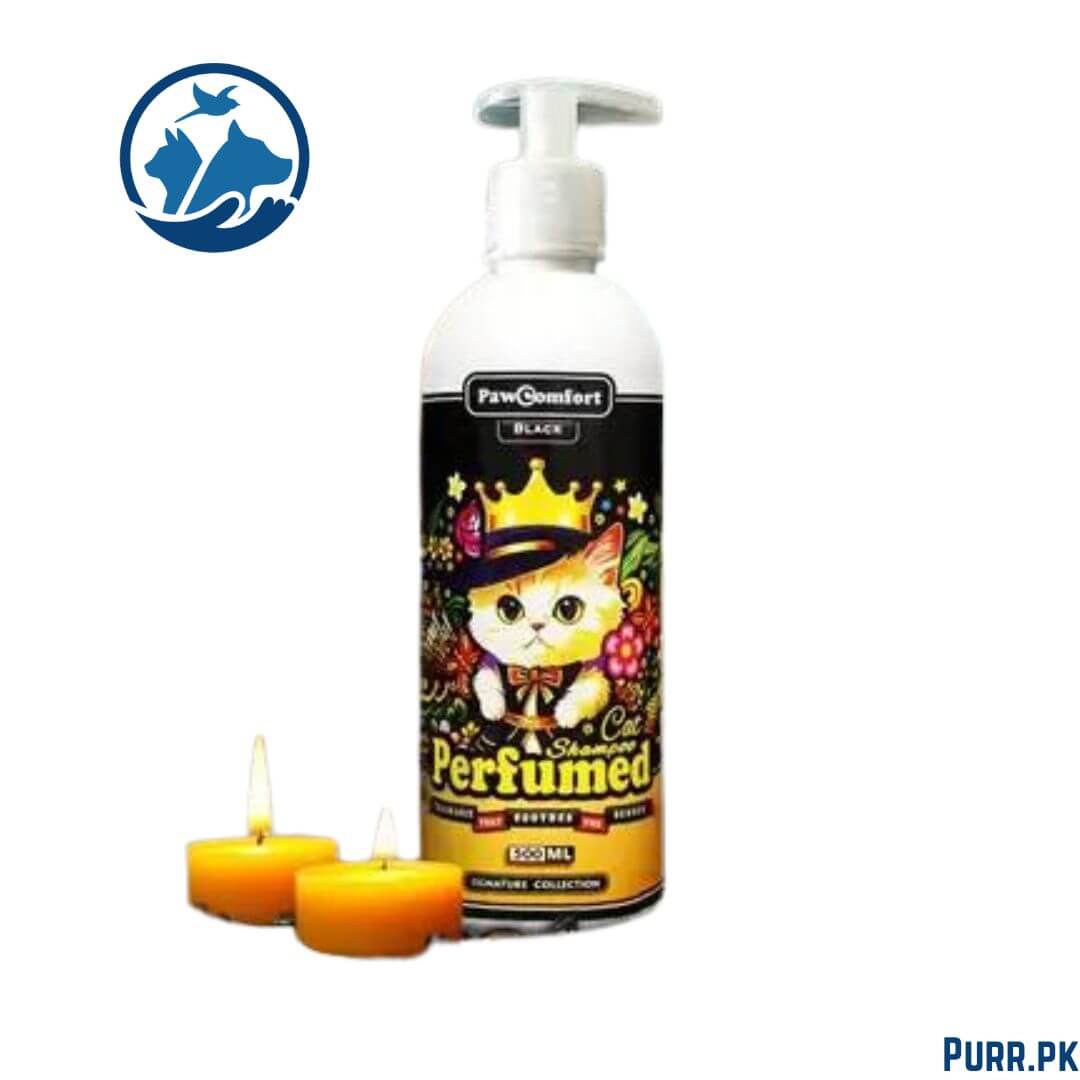 PawComfort Black Perfumed Shampoo For Cats