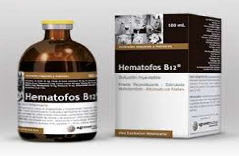 HEMATOFOS B12 TBA INJECTABLE SOLUTION