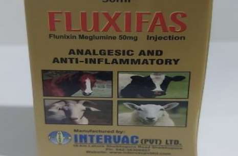 Fluxifas Inj 10 ml