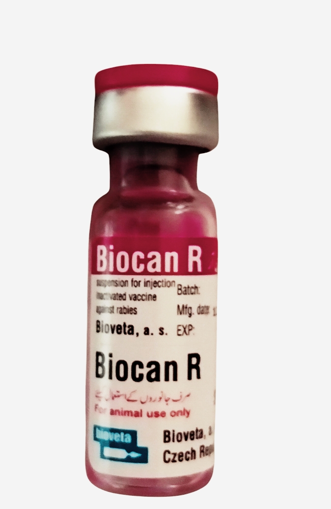 Rabbies vaccine buy online in Pakistan