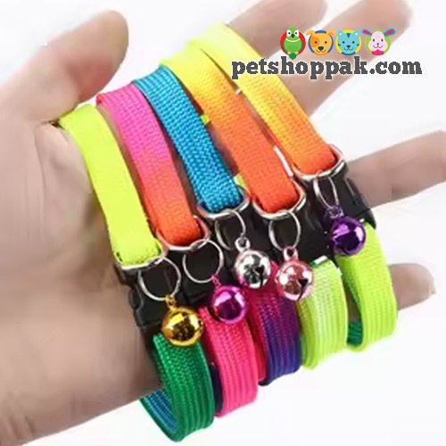 Rainbow Collar with Bell