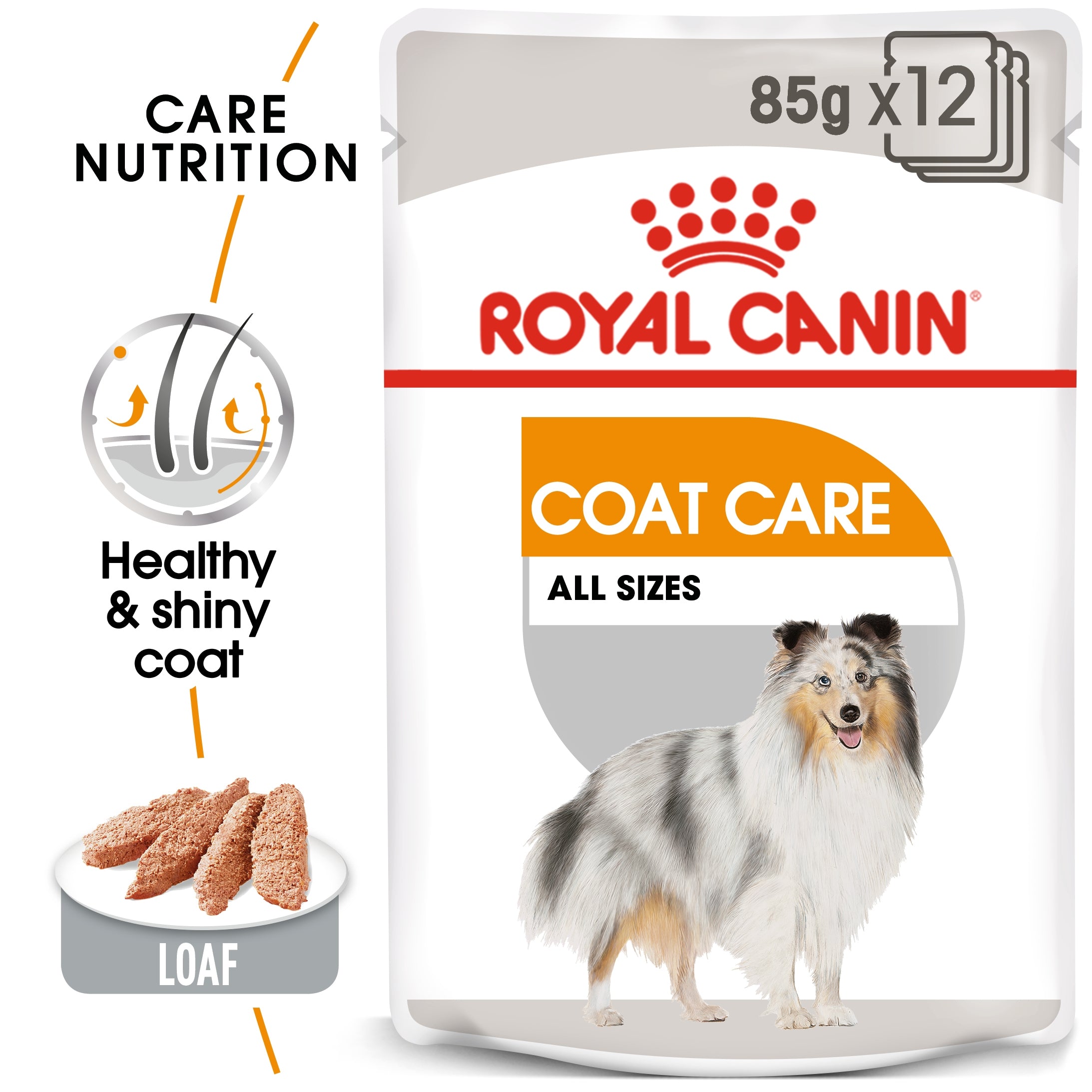 Royal Canin Canine Care Nutrition Coat Care (Wet Food - Pouches) 12 x 85 g