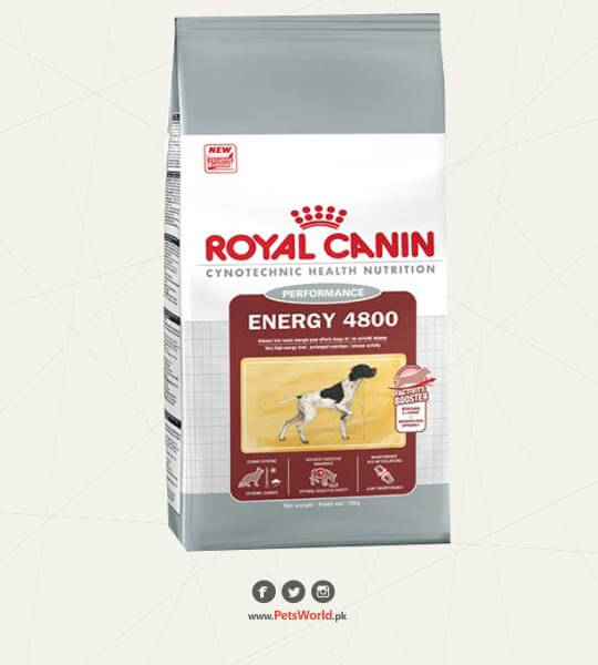Royal Canin Energy 4800 – 20 Kg