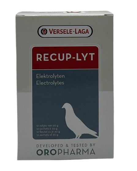 RECUP-LYT 12 Sachets of 20 gm