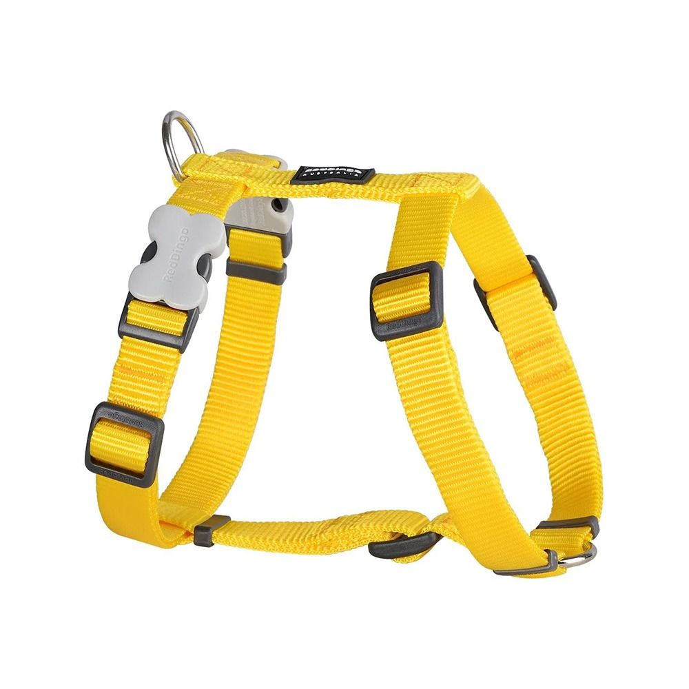 Red Dingo Classic Dog Harness - Yellow - 20mm