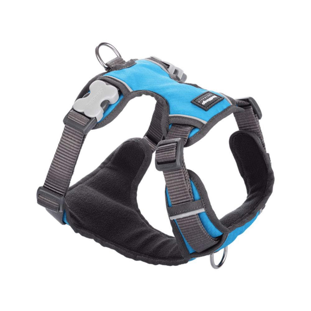 Red Dingo Padded Dog Harness - Medium