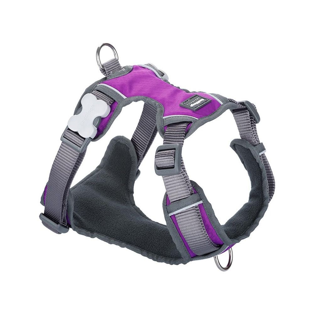 RedDingo Padded Dog Harness - Purple